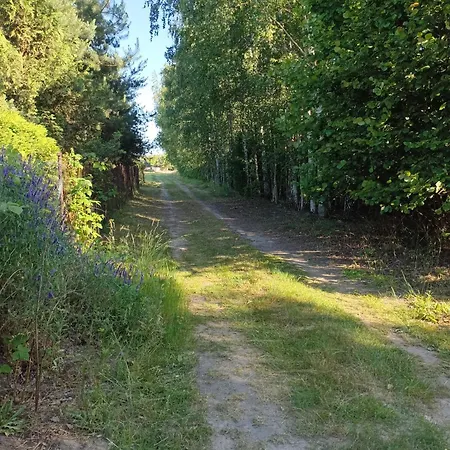 Domek, Wkra, Okolice Sochocina, Kajaki, Konie, Ryby Chalet