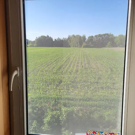 Domek, Wkra, Okolice Sochocina, Kajaki, Konie, Ryby
